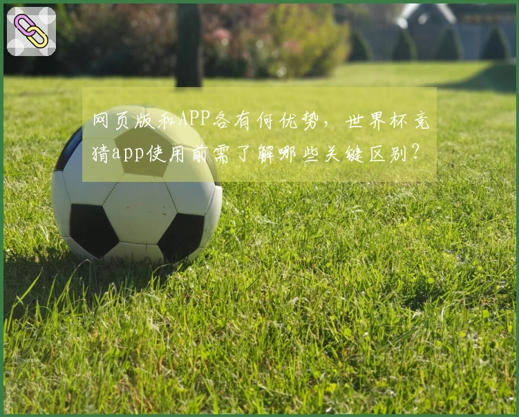 网页版和APP各有何优势，世界杯竞猜app使用前需了解哪些关键区别？