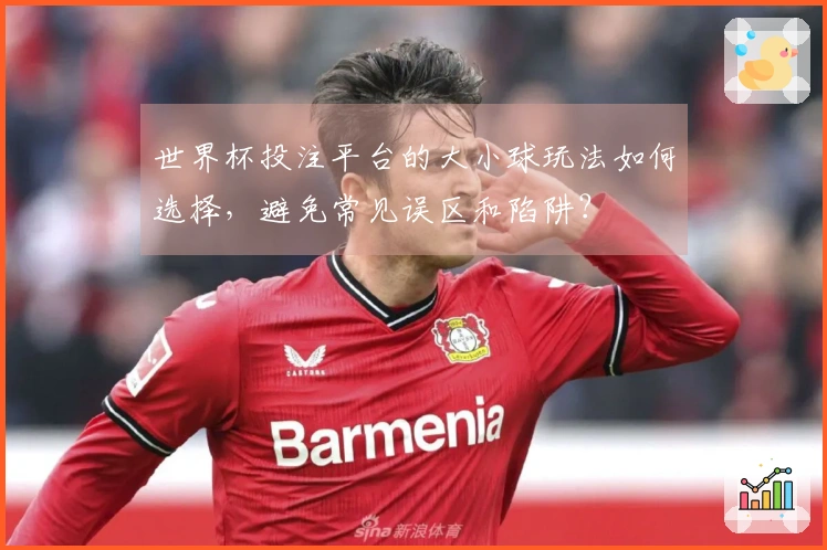 世界杯投注平台的大小球玩法如何选择，避免常见误区和陷阱？
