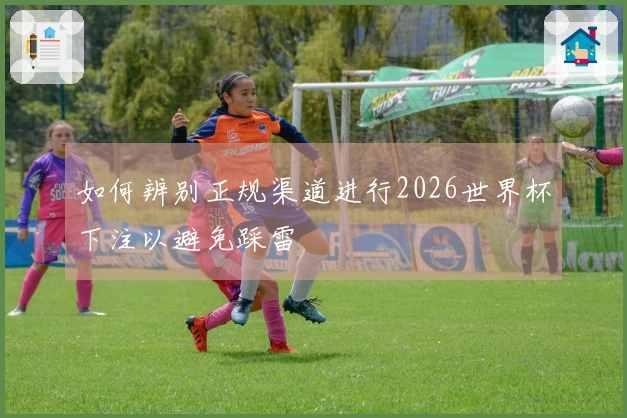 如何辨别正规渠道进行2026世界杯下注以避免踩雷
