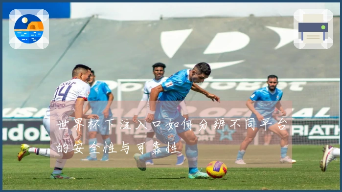 世界杯下注入口如何分辨不同平台的安全性与可靠性