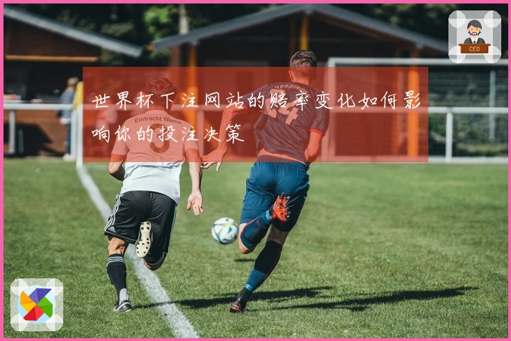 世界杯下注网站的赔率变化如何影响你的投注决策