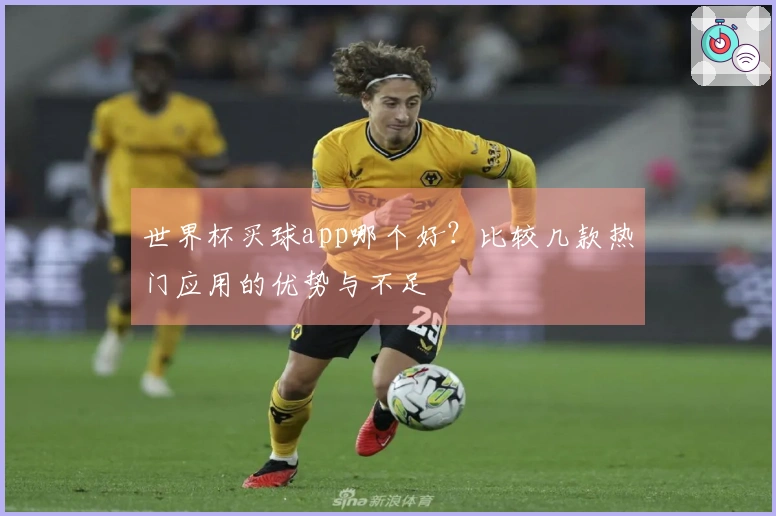 世界杯买球app哪个好？比较几款热门应用的优势与不足