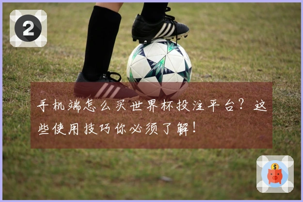 手机端怎么买世界杯投注平台？这些使用技巧你必须了解！