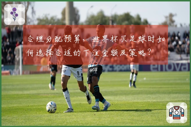合理分配预算，世界杯买足球时如何选择合适的下注金额及策略？