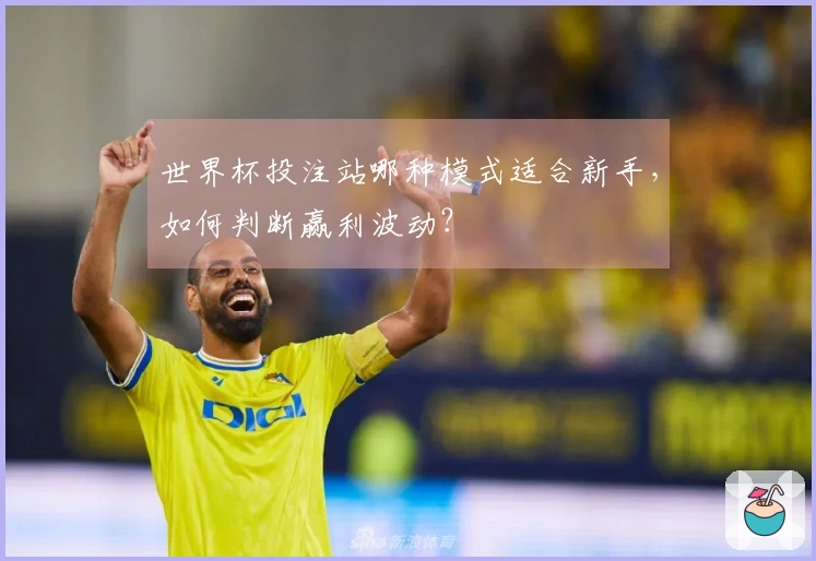 世界杯投注站哪种模式适合新手，如何判断赢利波动？