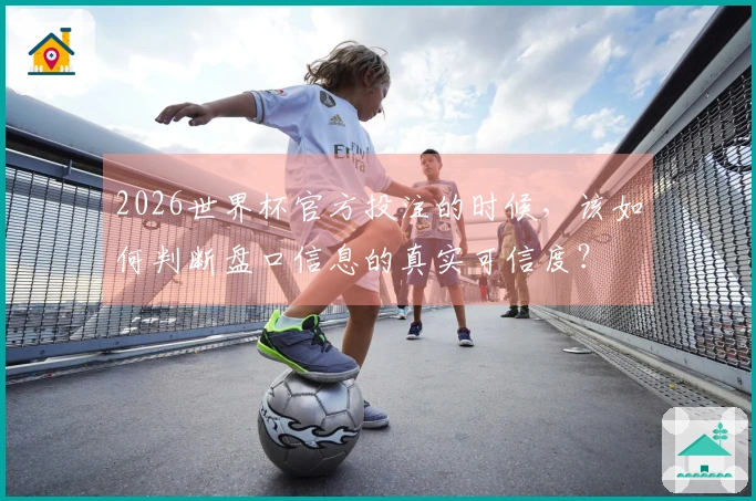 2026世界杯官方投注的时候，该如何判断盘口信息的真实可信度？