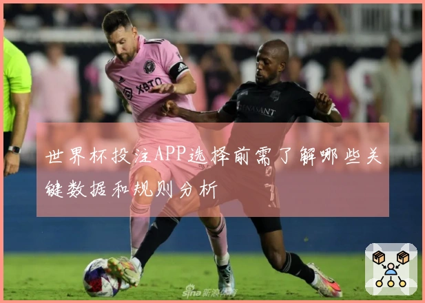 世界杯投注APP选择前需了解哪些关键数据和规则分析