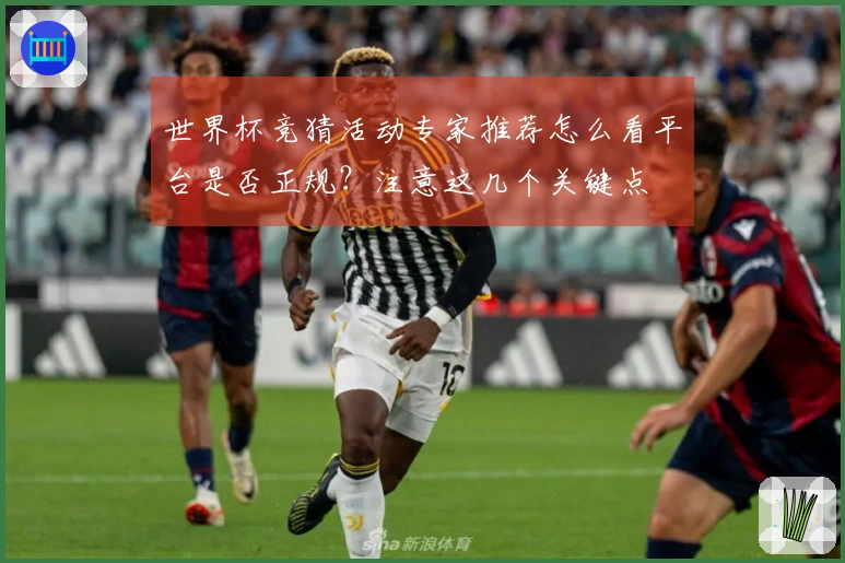 世界杯竞猜活动专家推荐怎么看平台是否正规?注意这几个关键点