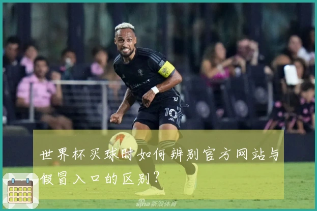 世界杯买球时如何辨别官方网站与假冒入口的区别？