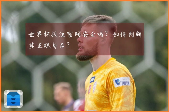 世界杯投注官网安全吗？如何判断其正规与否？