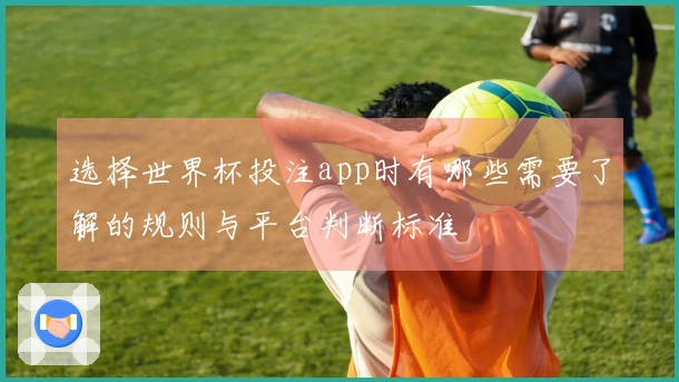 选择世界杯投注app时有哪些需要了解的规则与平台判断标准