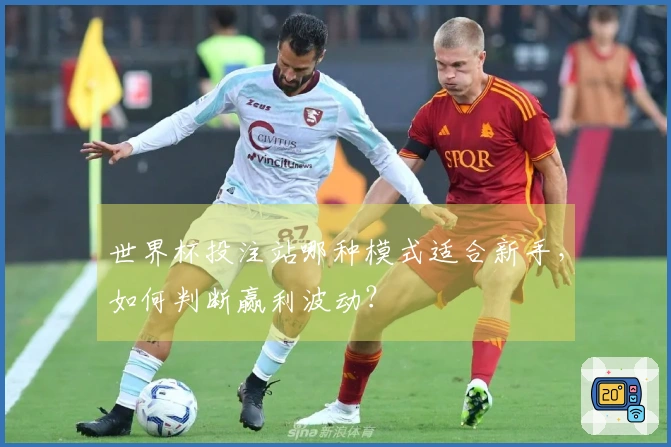 世界杯投注站哪种模式适合新手，如何判断赢利波动？