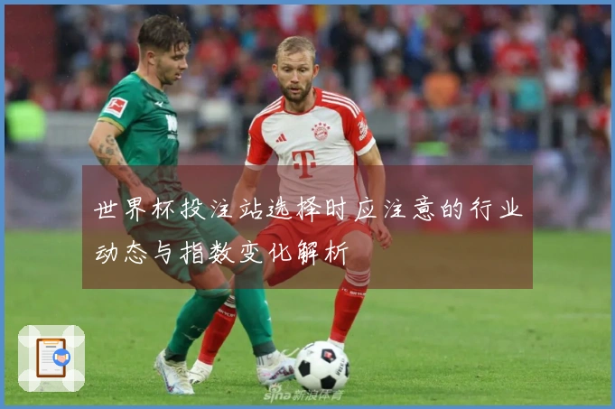 世界杯投注站选择时应注意的行业动态与指数变化解析