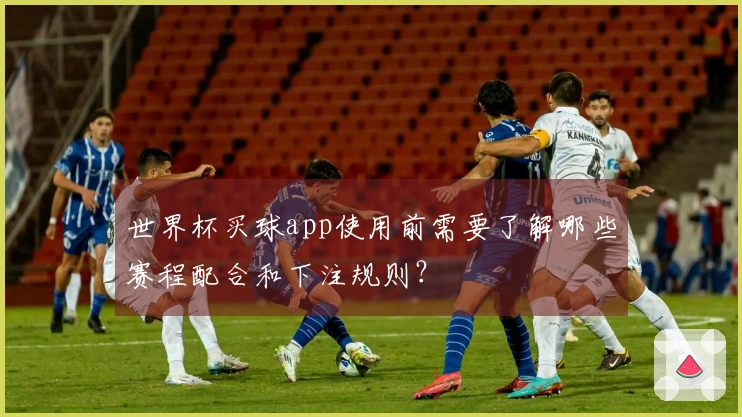 世界杯买球app使用前需要了解哪些赛程配合和下注规则？