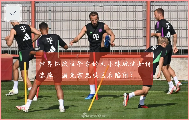 世界杯投注平台的大小球玩法如何选择，避免常见误区和陷阱？
