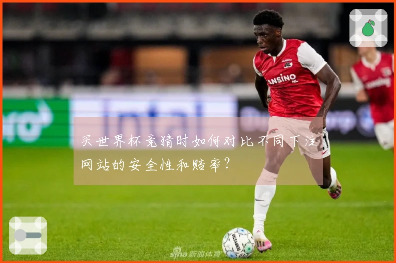 买世界杯竞猜时如何对比不同下注网站的安全性和赔率？