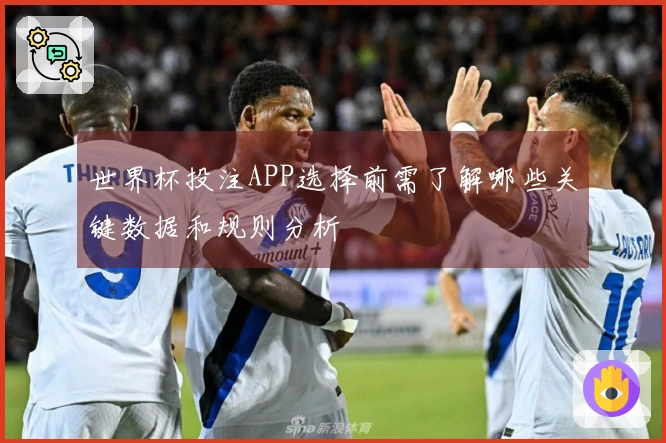 世界杯投注APP选择前需了解哪些关键数据和规则分析