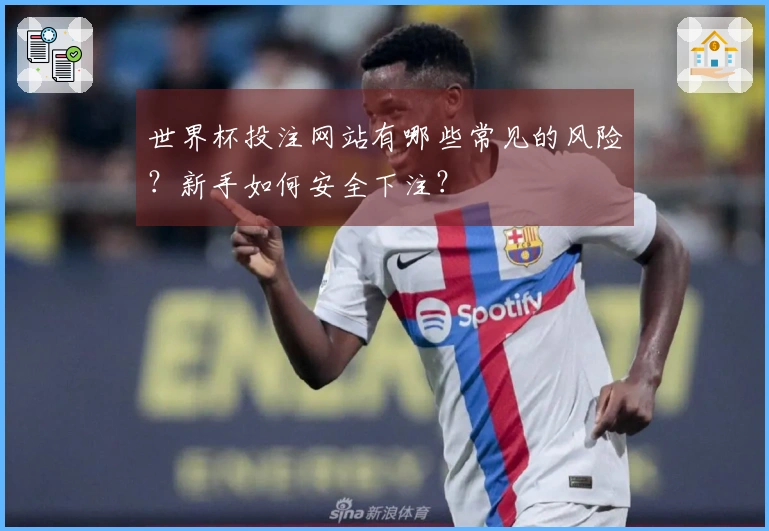 世界杯投注网站有哪些常见的风险?新手如何安全下注?